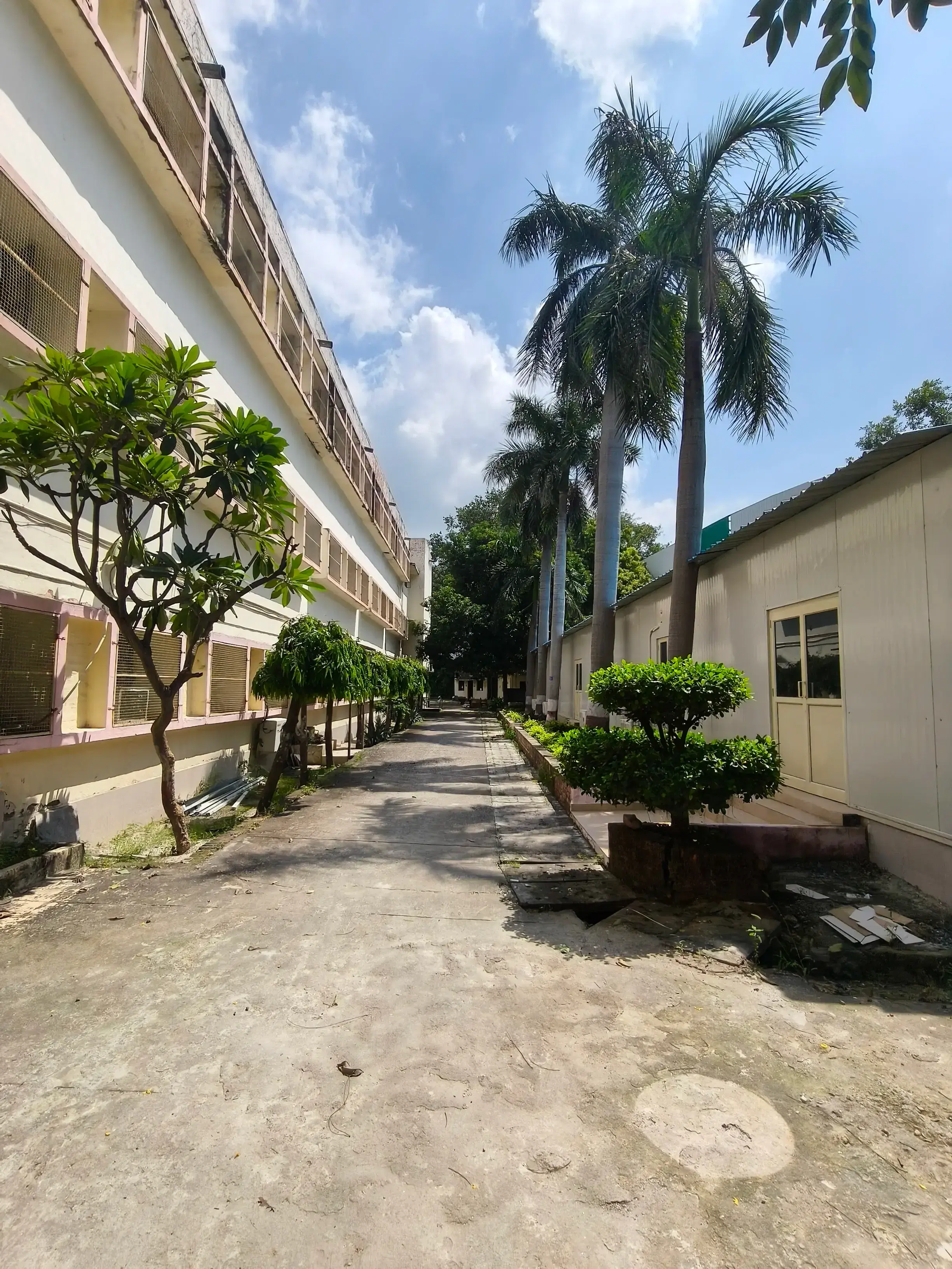 Delhi College of Arts and Commerce Campus photo 7